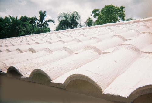 seal-barrel-tile-roof-big